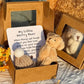 📢📢50% OFF !! ⏰Handmade Mini Plush Teddy Bear in Box (4Pcs/Set)