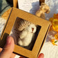 📢📢50% OFF !! ⏰Handmade Mini Plush Teddy Bear in Box (4Pcs/Set)