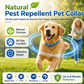 ⏰LIMITED TIME 50% OFF!🔥50K+ SOLD! Natural Essential Oil Pet Pest Repellent Collar - Adjustable Fit & Lightweight