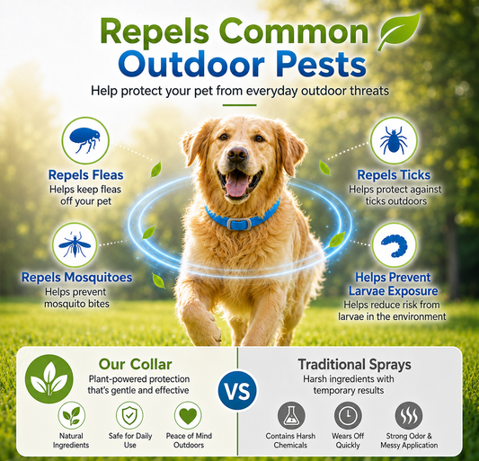 ⏰LIMITED TIME - Buy 1 Get 1 Free!🔥50K+ SOLD! Natural Essential Oil Pet Pest Repellent Collar - Adjustable Fit & Lightweight