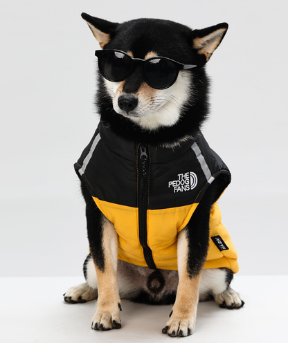 ⏰Limited Sale 60% OFF!!⚡🐶Fashion Waterproof Windproof Winter Dog Coat