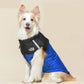 ⏰Limited Sale 60% OFF!!⚡🐶Fashion Waterproof Windproof Winter Dog Coat