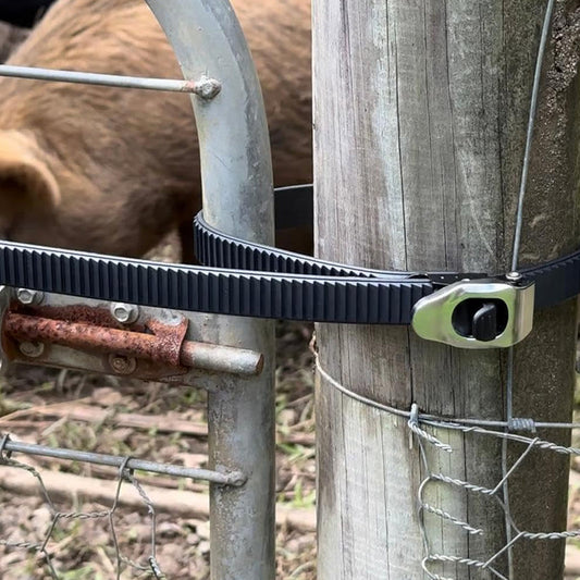 💪Last Day Special Offer-70% OFF🔥Ultimate Secure Locking Fastening Strap