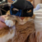 🐱🎭Cat Mask Pet Toys