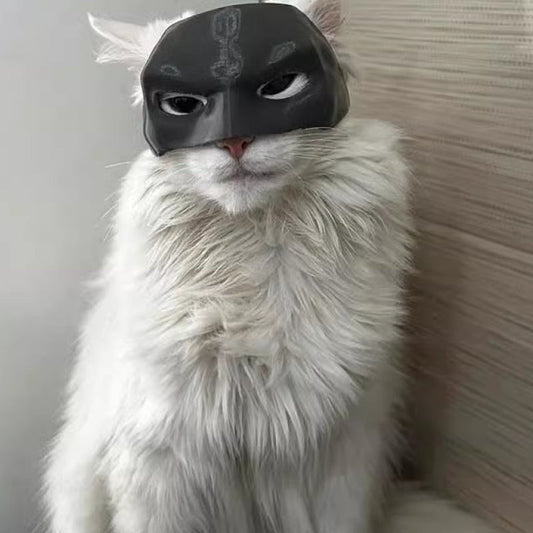🐱🎭Cat Mask Pet Toys