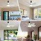 ⏰Summer Hot Sale 50% OFF🎁2-IN-1 PORTABLE CEILING FAN & LIGHT with Remote Control