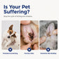 ⏳Limited-time 50% off⏰Pet Ear Cleaner for Dogs & Cats🐶🐱👂🪄