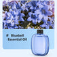 🎁Gift Idea Hot Sale 50% OFF🌸💨 Aromatherapy Diffuser – Automatic, soothing & gift-ready ✨