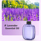 🎁Gift Idea Hot Sale 50% OFF🌸💨 Aromatherapy Diffuser – Automatic, soothing & gift-ready ✨